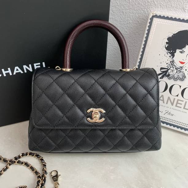 Chanel Flap Bag With Top Handle 蜥蜴紅手柄黑金小號