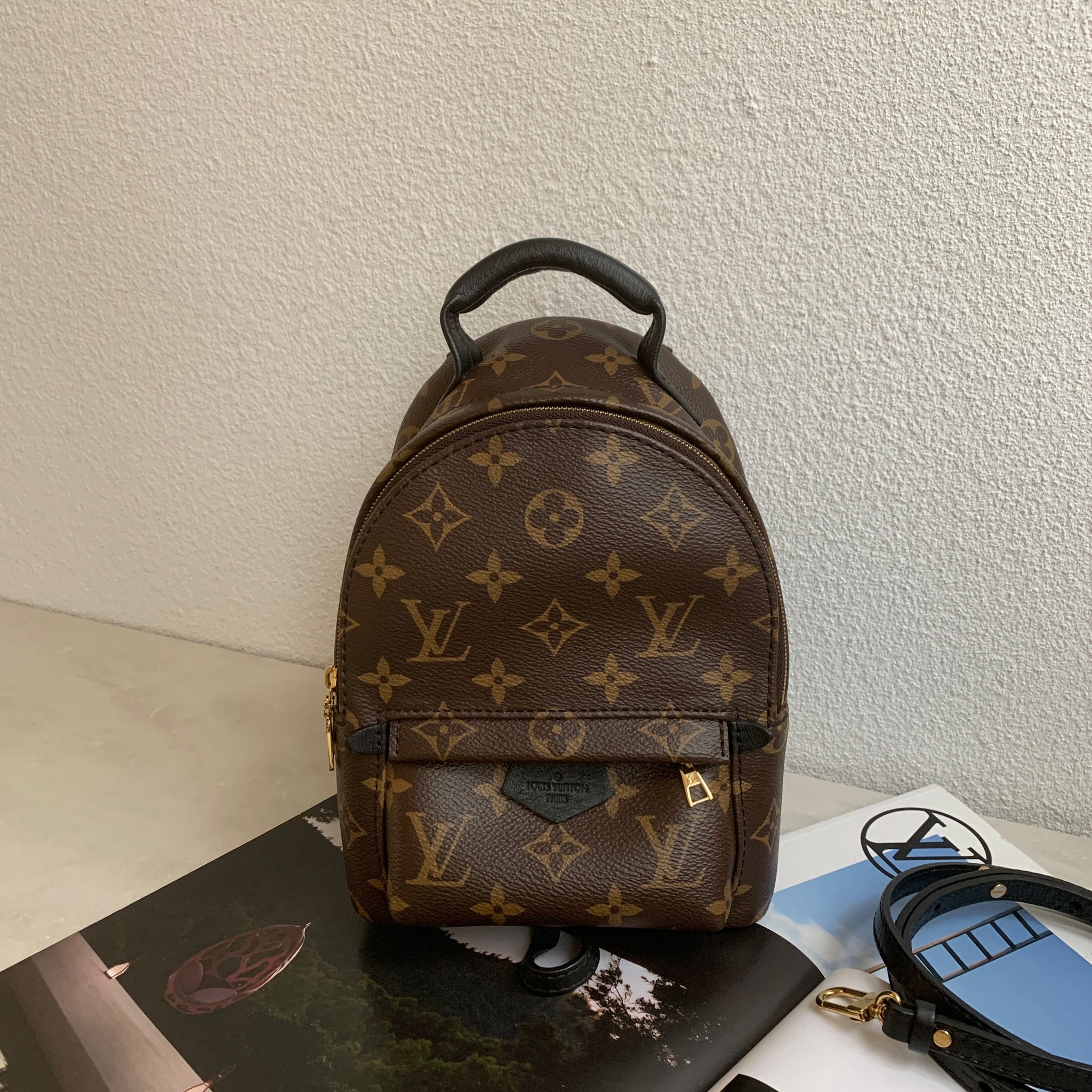 Louis Vuitton Palm Springs Mini 老花小書包 Louis Vuitton Palm Springs Mini 老花小書包