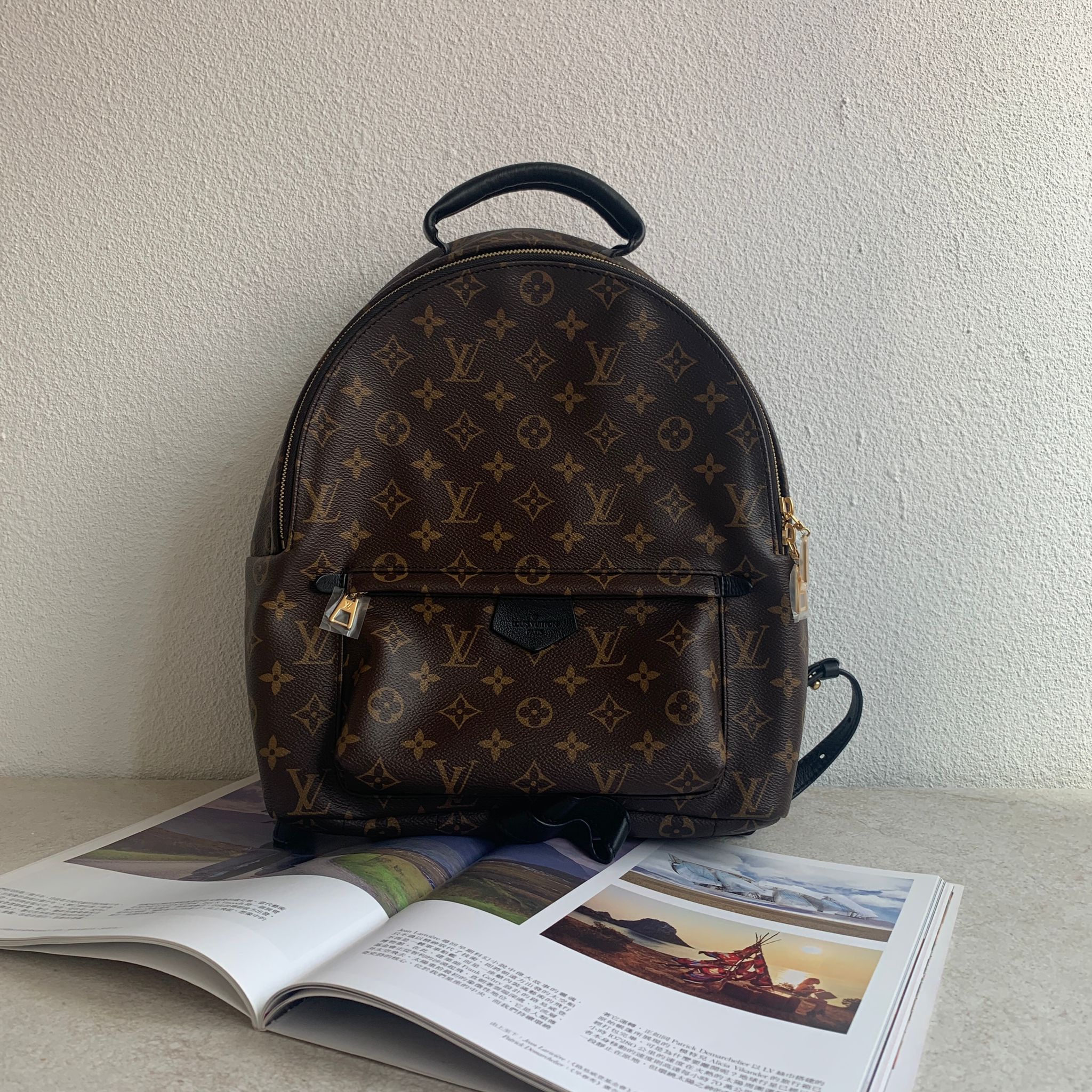 Louis Vuitton Palm Springs MM 老花雙肩包